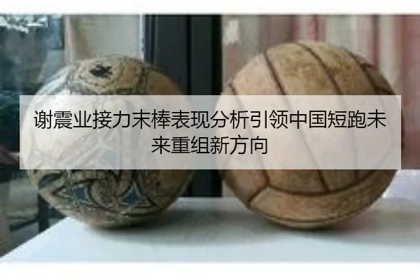 谢震业接力末棒表现分析引领中国短跑未来重组新方向