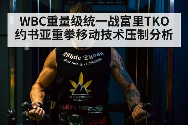 Tyson Fury boxing