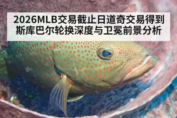 2026MLB交易截止日道奇交易得到斯库巴尔轮换深度与卫冕前景分析