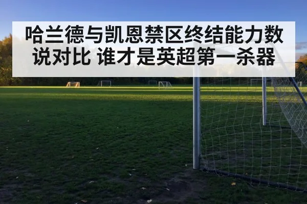 哈兰德与凯恩禁区终结能力数说对比 谁才是英超第一杀器