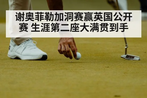 谢奥菲勒加洞赛赢英国公开赛 生涯第二座大满贯到手