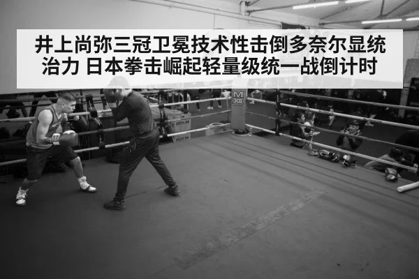 井上尚弥三冠卫冕技术性击倒多奈尔显统治力 日本拳击崛起轻量级统一战倒计时